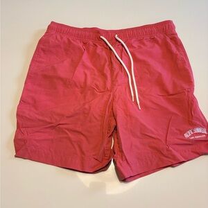 Pac Sun Men's Dark Pink Swim Shorts